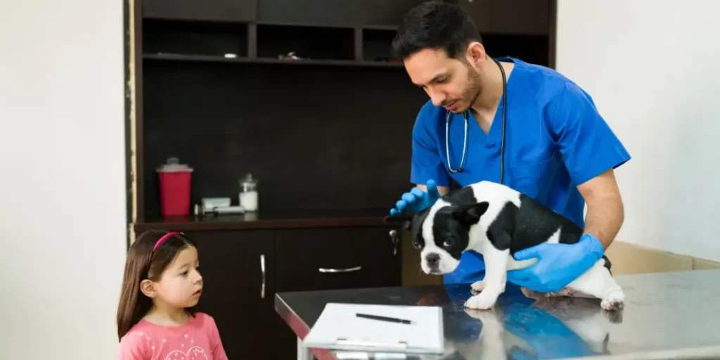 Elementary girl taking her beautiful pet to the vet because of an injury. professional latin veterinarian working with a cute dog.