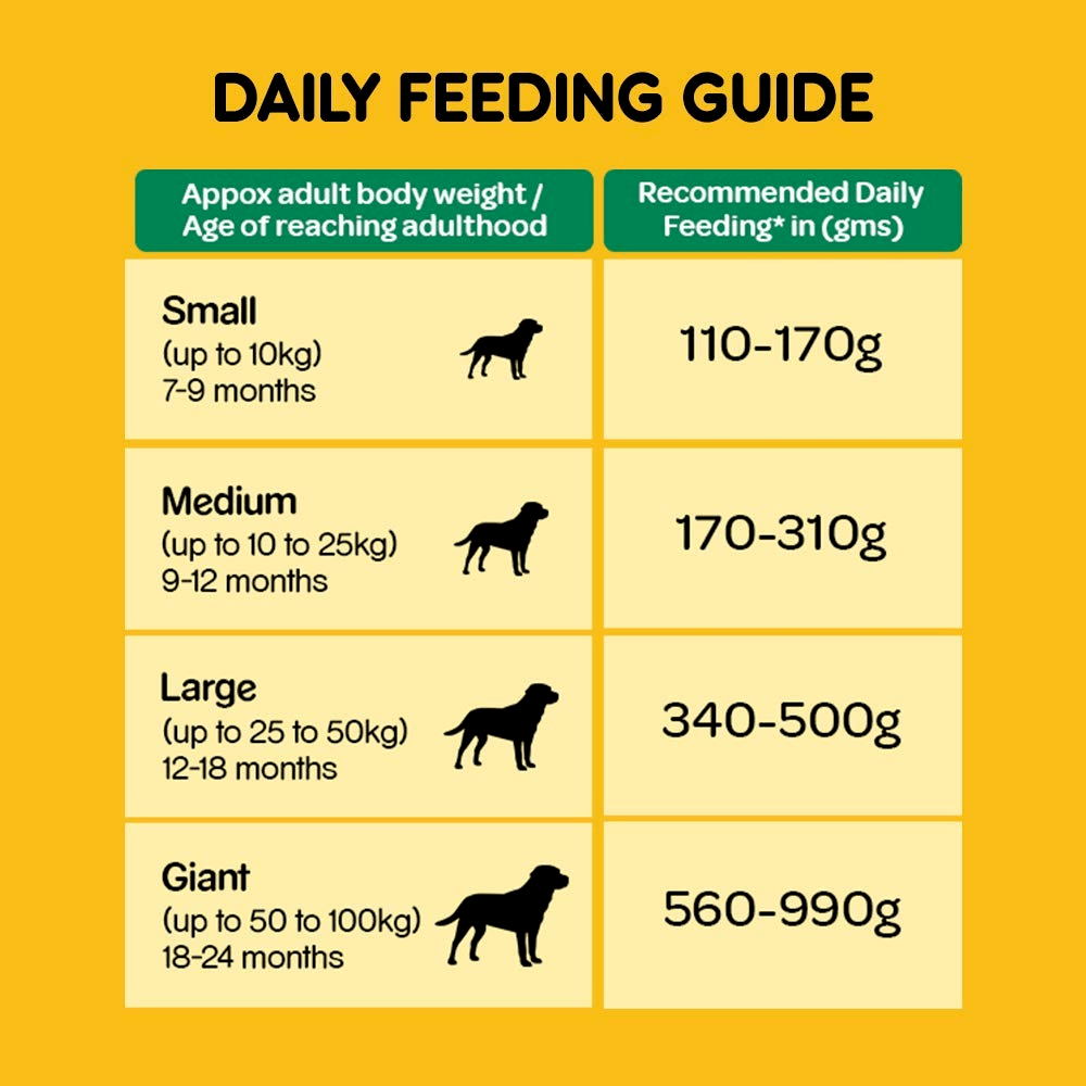 Pedigree Adult Dry Dog Food- Vegetarian, 1.2kg and 3 kg Pack
