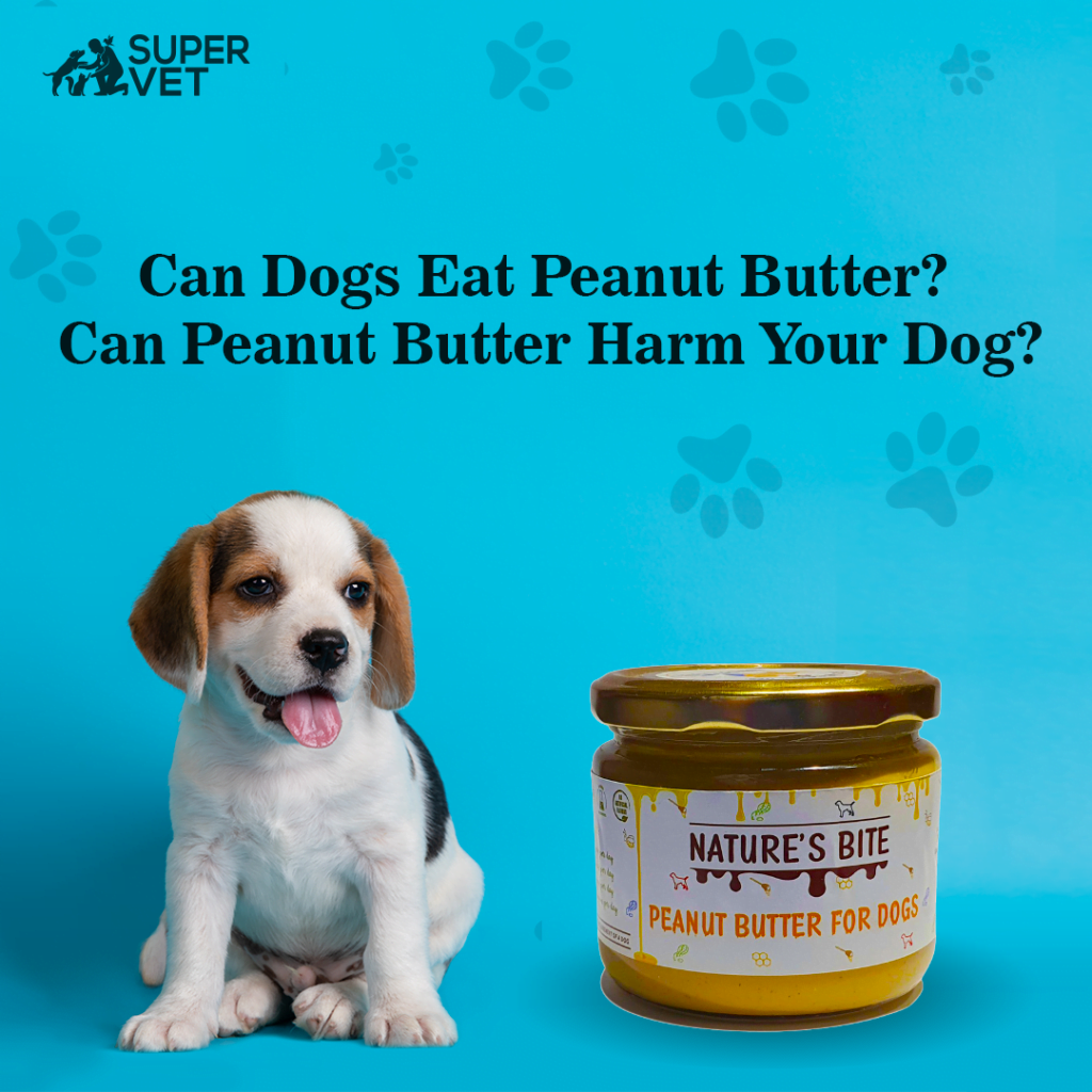 Can Dogs Eat Peanut Butter? Can Peanut Butter Harm Your Dog?