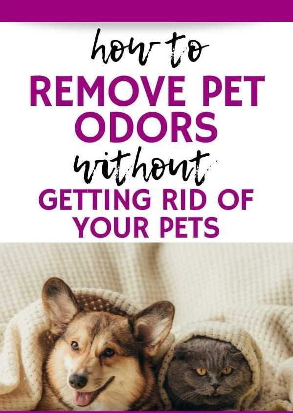 Image displays the text "Remove Pet Odors without Getting rid of your Pets".