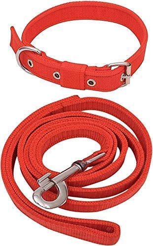 Supervet Dog Neck Collar Belts and Leash Set For Adult ,Puppy ,Cat and Kitten