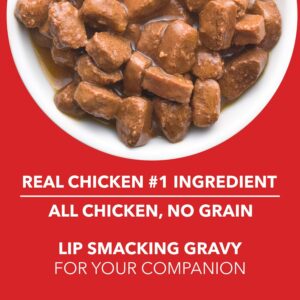 Drools Wet Dog Food, Real Chicken and Chicken Liver Chunks in Gravy