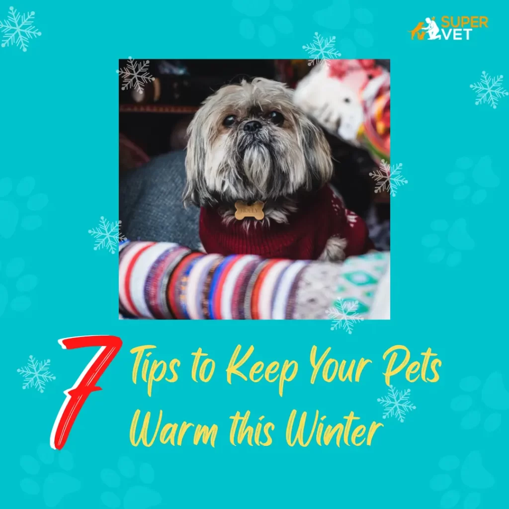 Image displays the text 7 tips to keep your pet warm this winter.