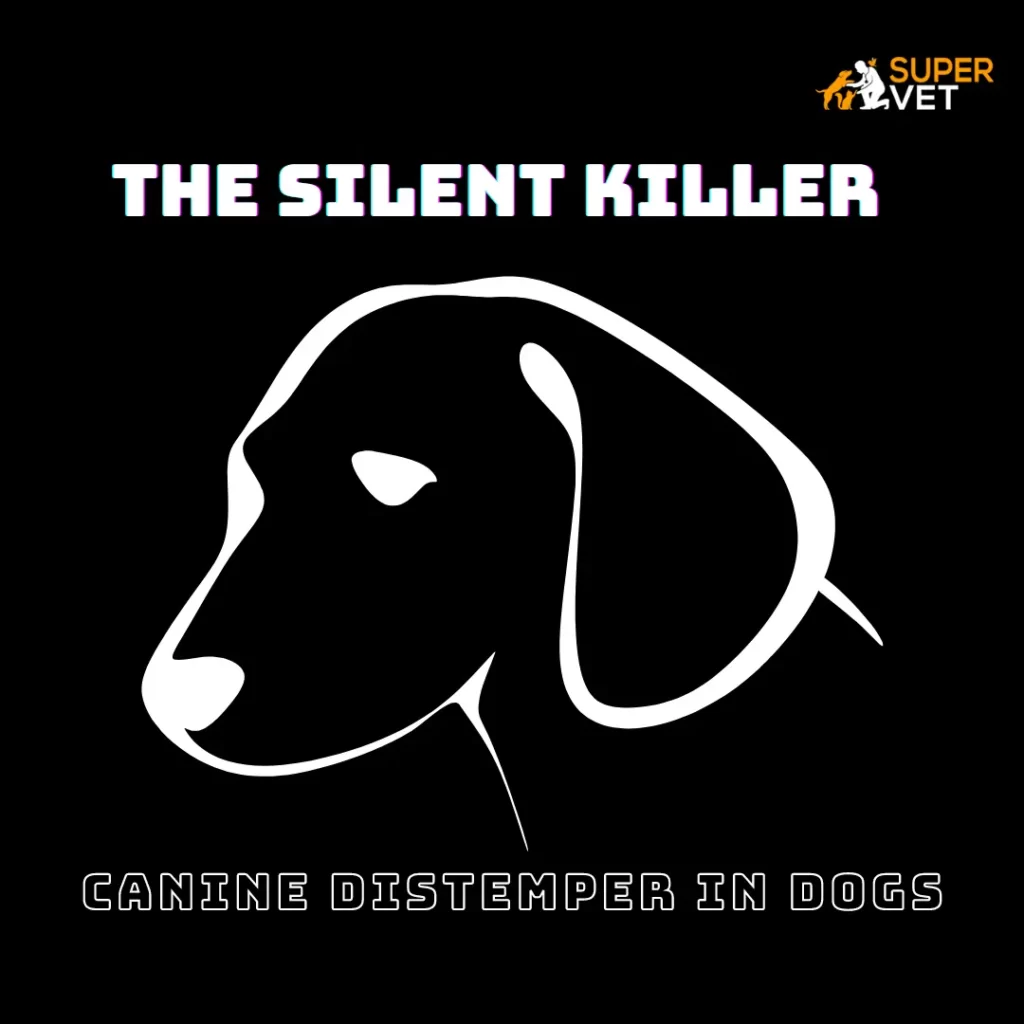the silent killer: canine distemper in dogs