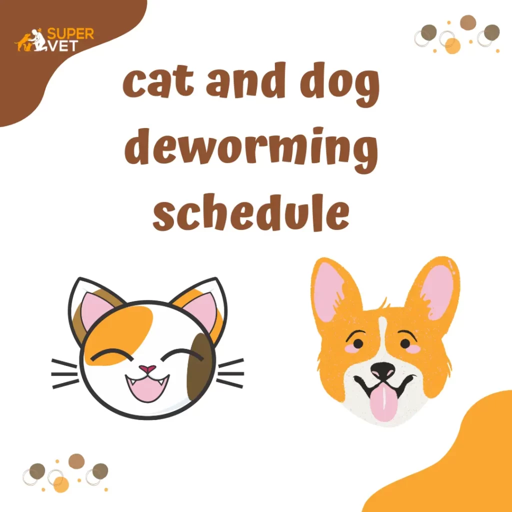 image displays the text "cat and dog deworming schedule"
