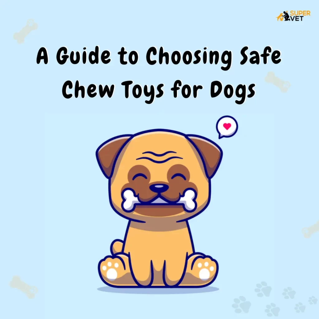 Image displays the title of the blog A guide to choosing safe chew toys for dogs