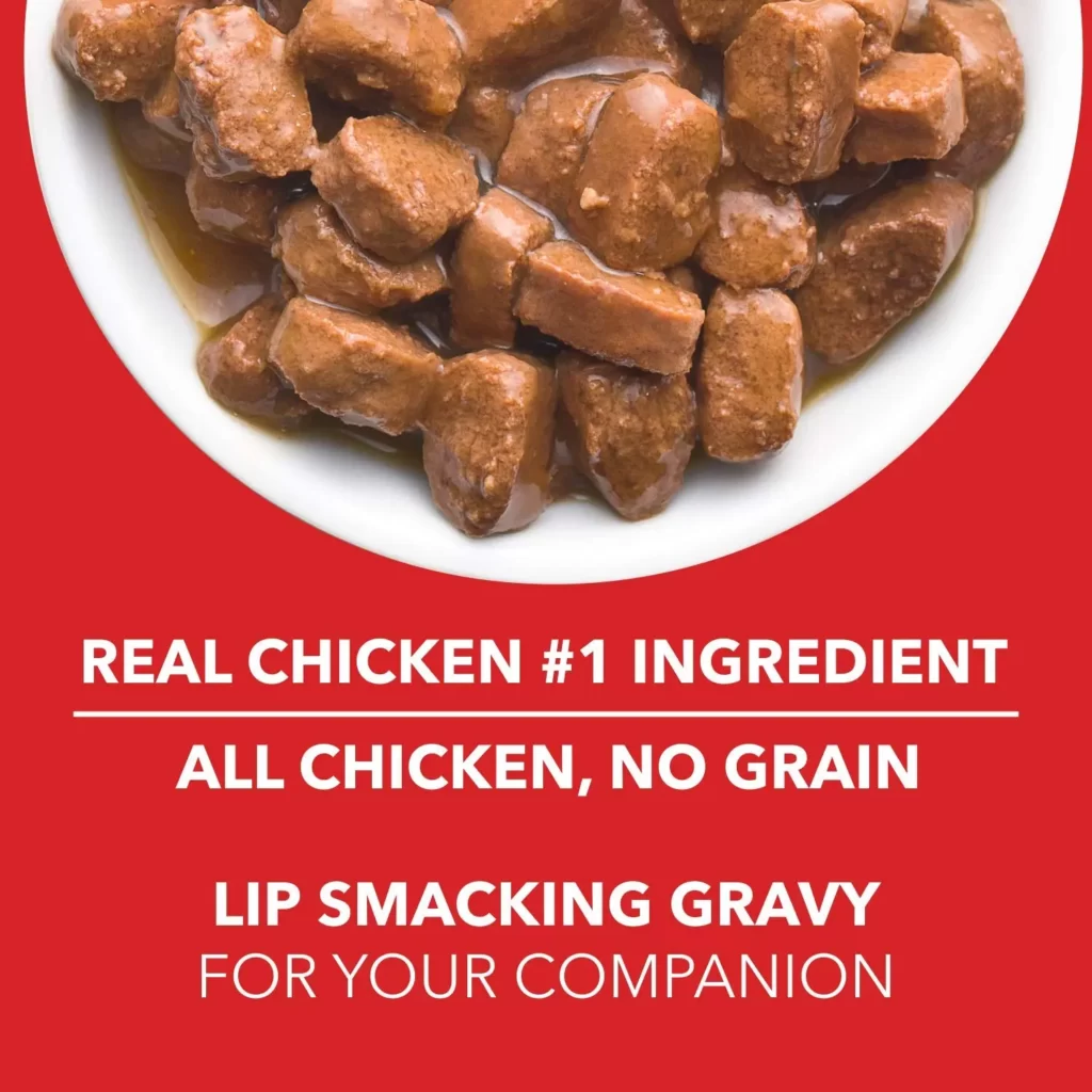 Drools Adult Wet Dog Food, Real Chicken and Chicken Liver Chunks in Gravy for winter