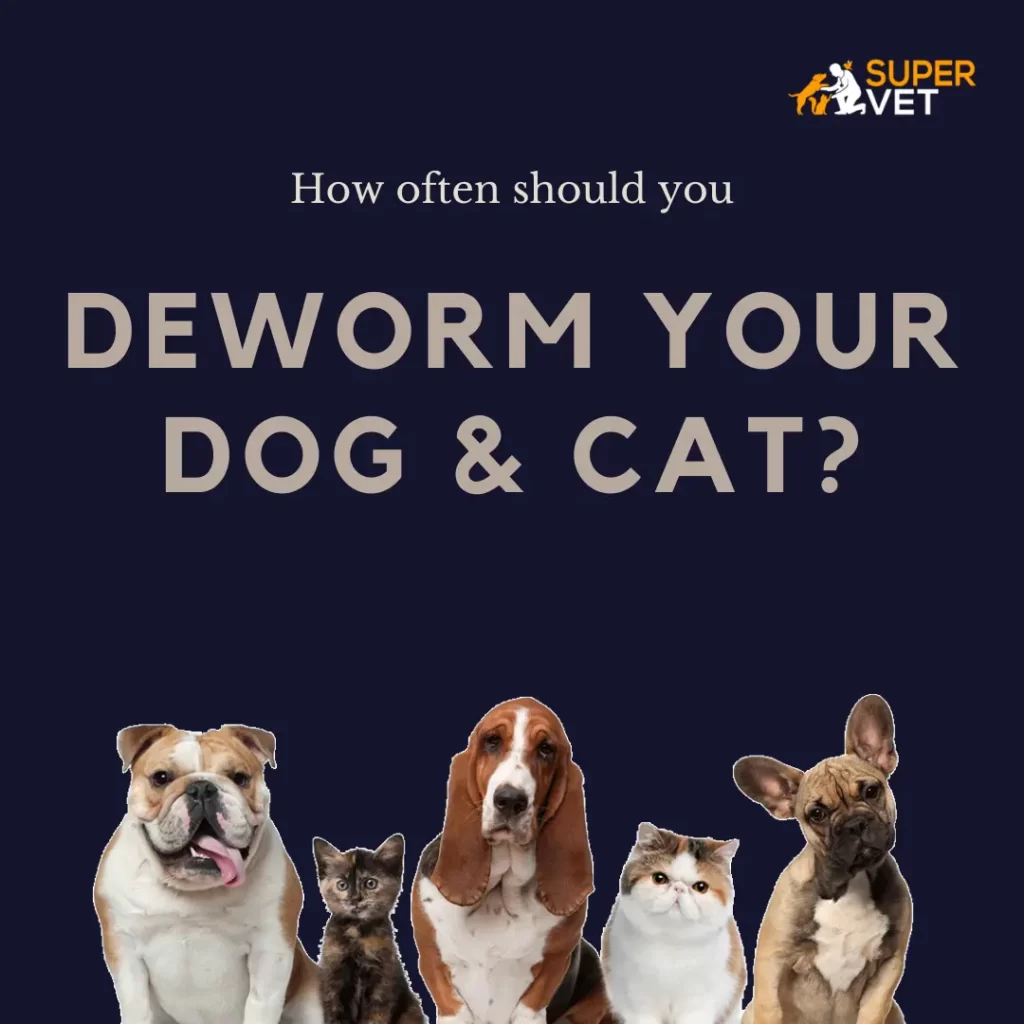 Image displays the text " how often should you deworm your dog and cat?"