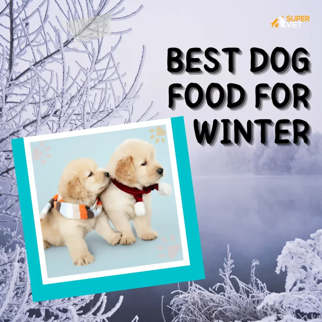 Image displays the text "Best dog for winter"