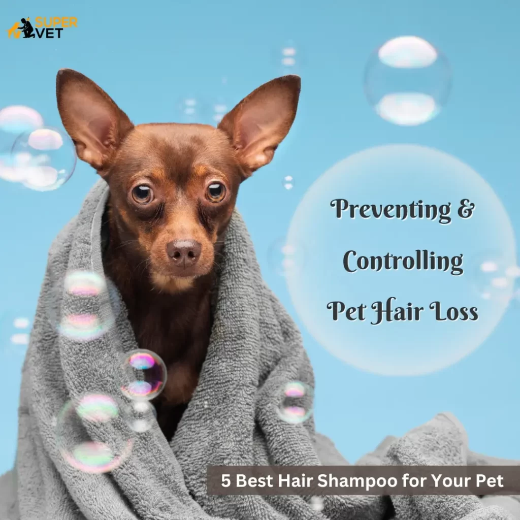 displays title of blog Preventing and Controlling Pet Hair Loss