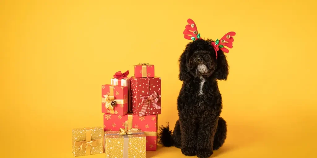 A cute black dog standing beside lots of gifts.
