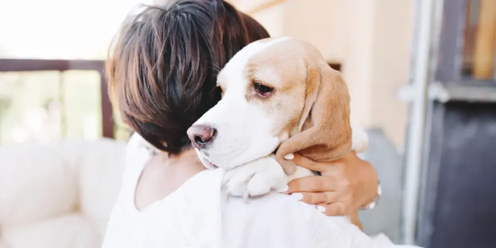 a cute dog is hugging his owner at new year 