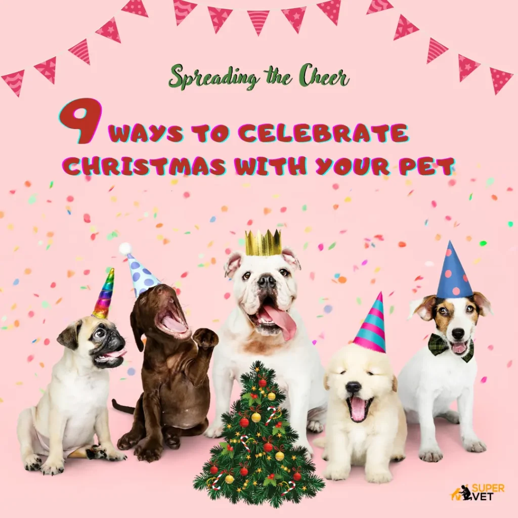 display the text -Spreading the Cheer: 9 Ways to Celebrate Christmas with Your Pet