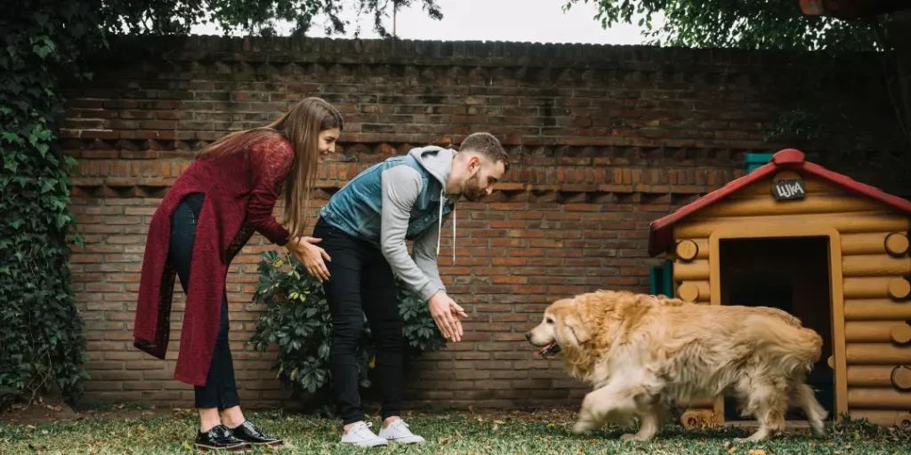 Young couple picking up their furry friend from dog care center