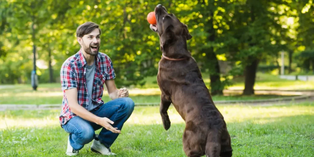 Man looking at his dog holding ball in mouth