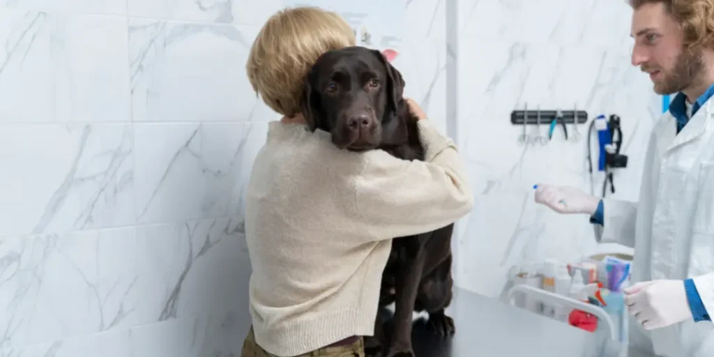 Close up woman hugging dog