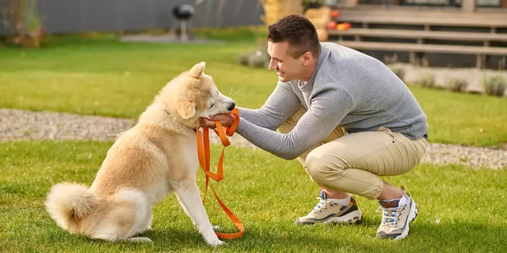 Smart dog. sideways to camera of joyful young adult man crouching touching friendly and smart dog with leash 