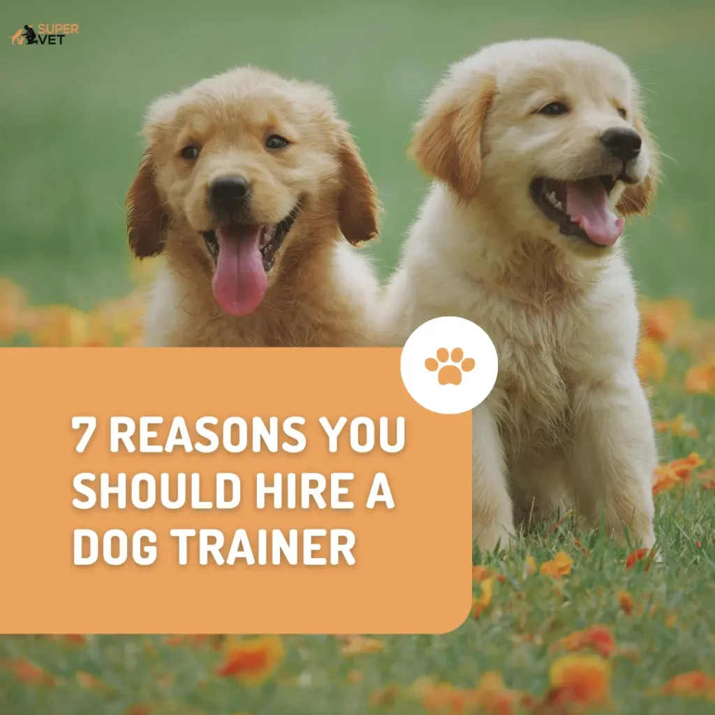 2 small puppies with text "7 Reasons You Should Hire a Dog Trainer"